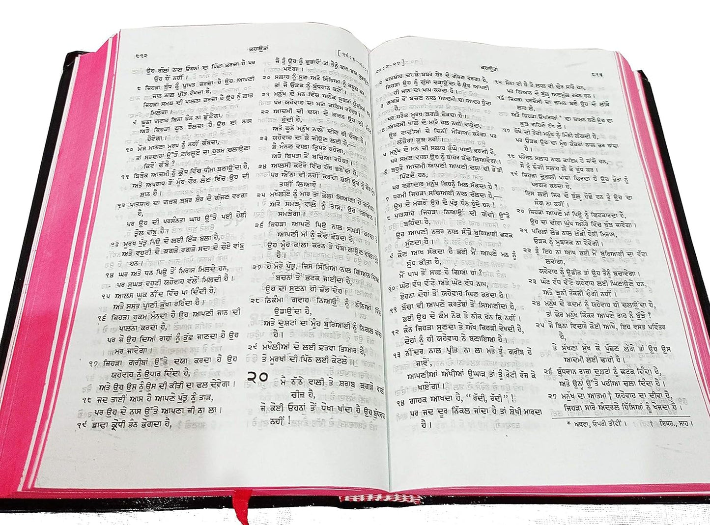 Holy Bible Punjabi (O.V.) Red Edge Contains Old and New Testament BSI Plastic Comb