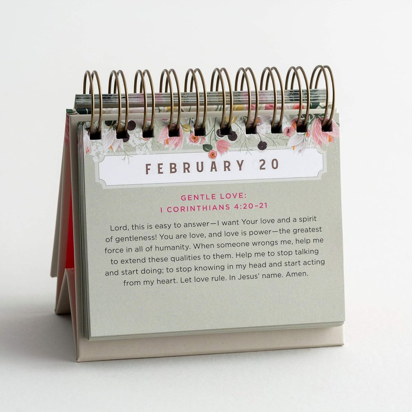 Day Brightener — A Prayer A Day for Hope & Encouragement