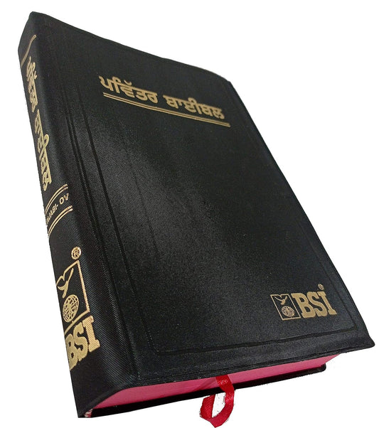 Holy Bible Punjabi (O.V.) Red Edge Contains Old and New Testament BSI Plastic Comb