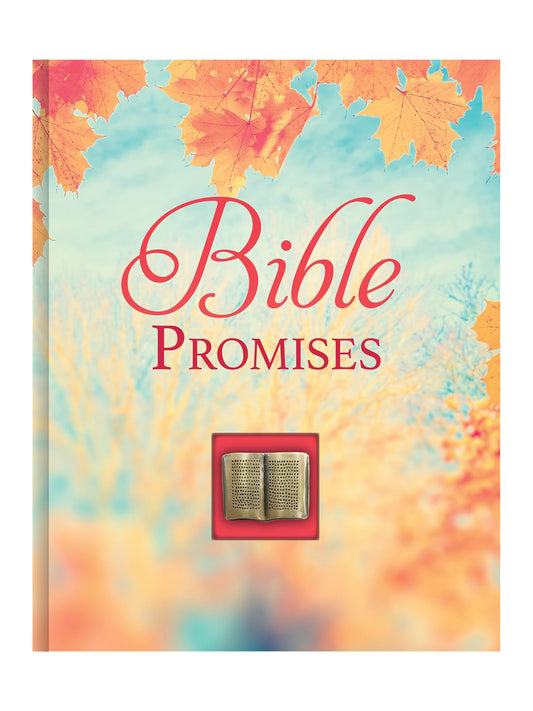 Deluxe Prayer Book - Bible Promises