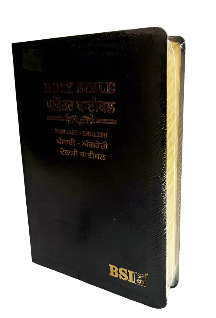 Bilingual Bible Punjabi-English, Royal BL Black Edition, Diglot