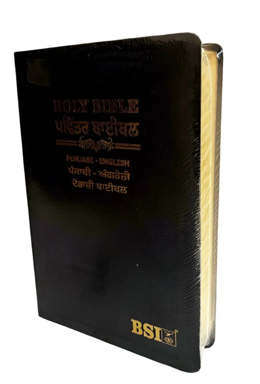 Bilingual Bible Punjabi-English, Royal BL Black Edition, Diglot