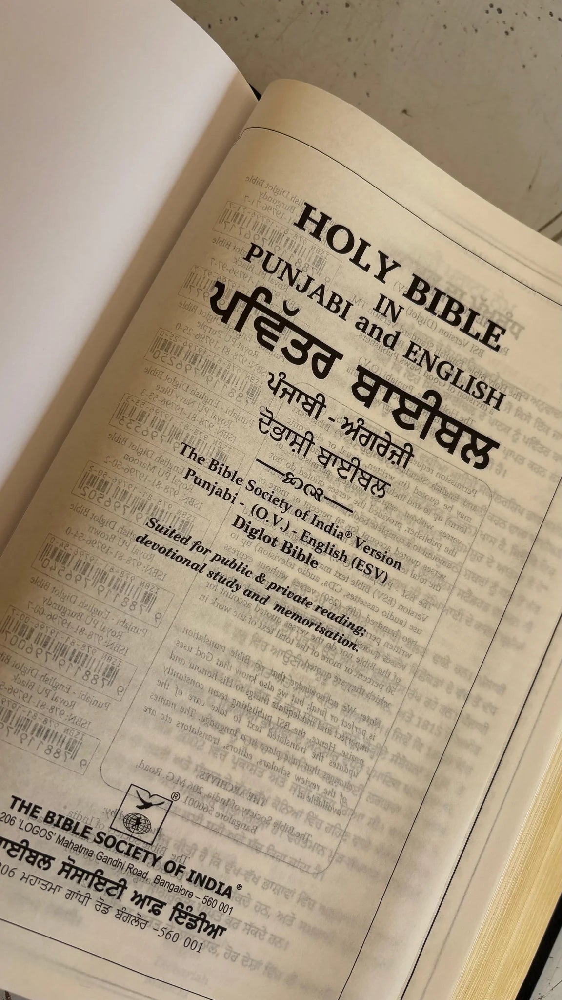 Bilingual Bible Punjabi-English, Royal BL Black Edition, Diglot