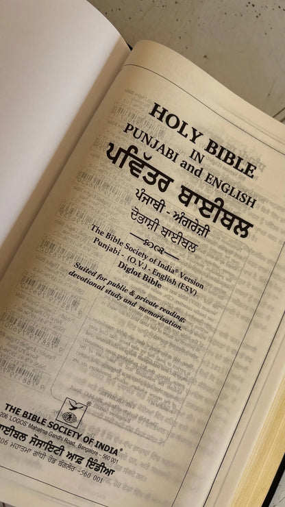 Bilingual Bible Punjabi-English, Royal BL Black Edition, Diglot
