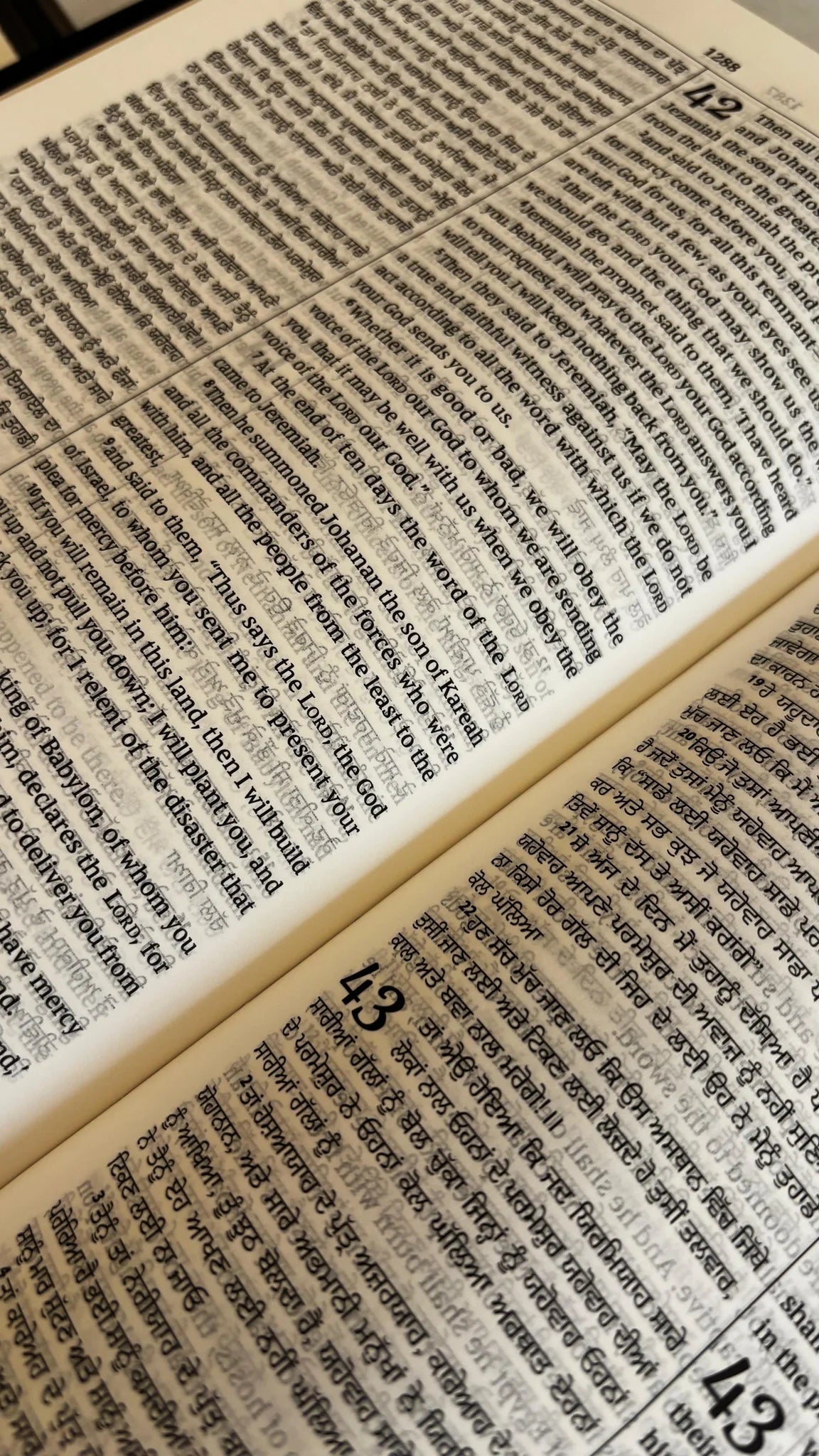 Bilingual Bible Punjabi-English, Royal BL Black Edition, Diglot