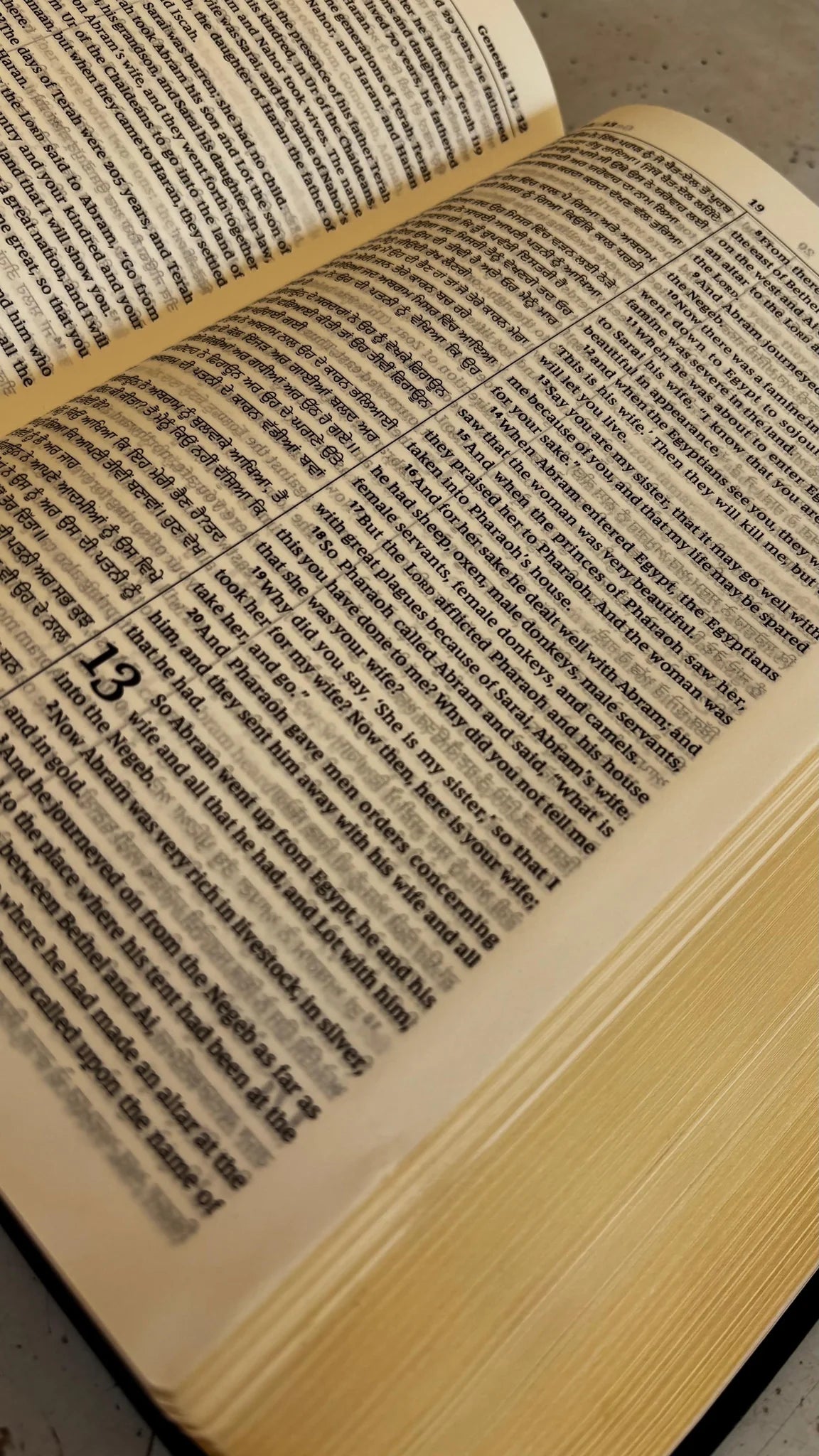 Bilingual Bible Punjabi-English, Royal BL Black Edition, Diglot