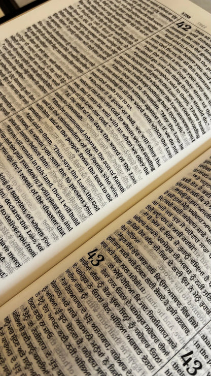 Bilingual Bible Punjabi-English, Royal BL Black Edition, Diglot