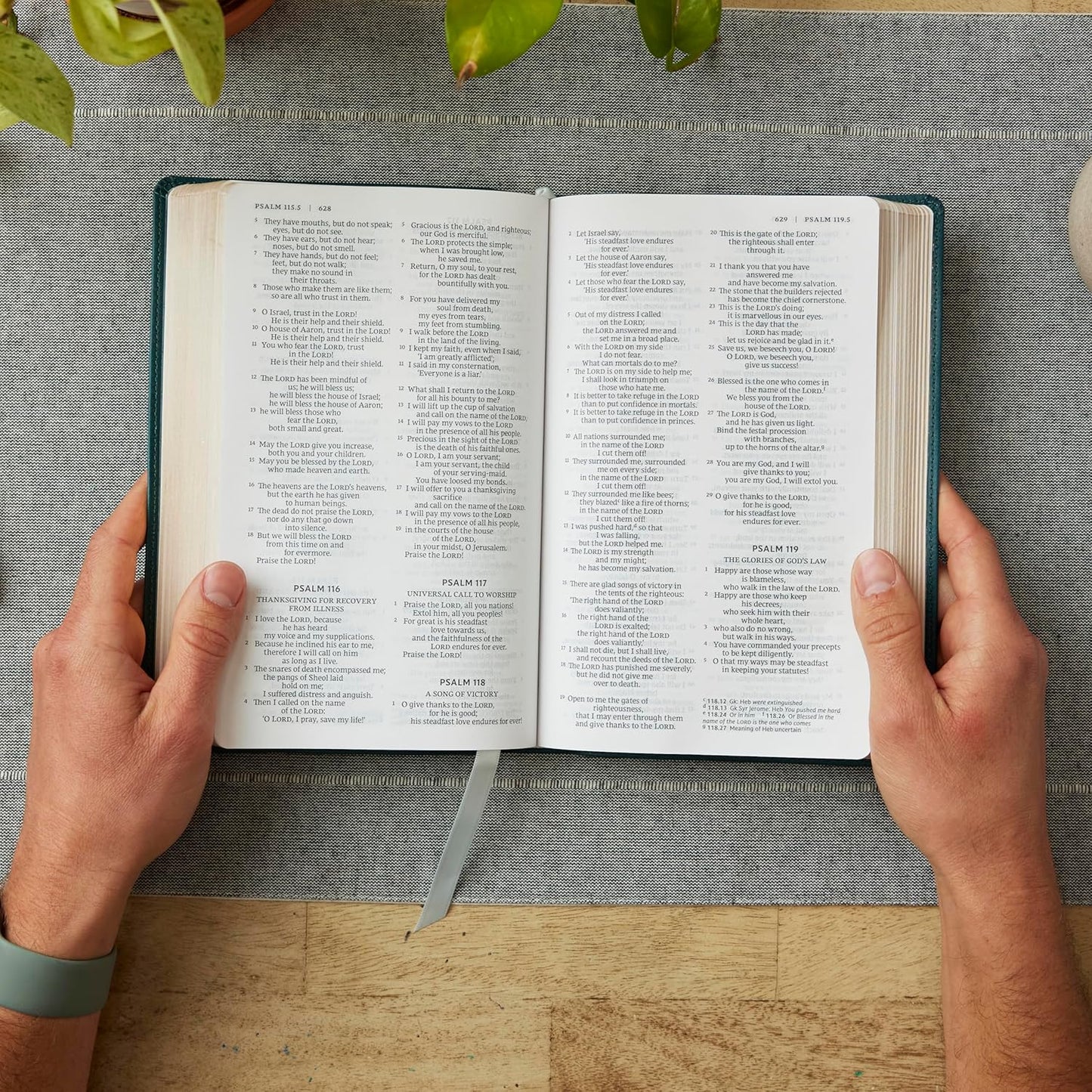 NRSV Catholic Edition Gift Bible, Teal LeatherSoft, Comfort Print