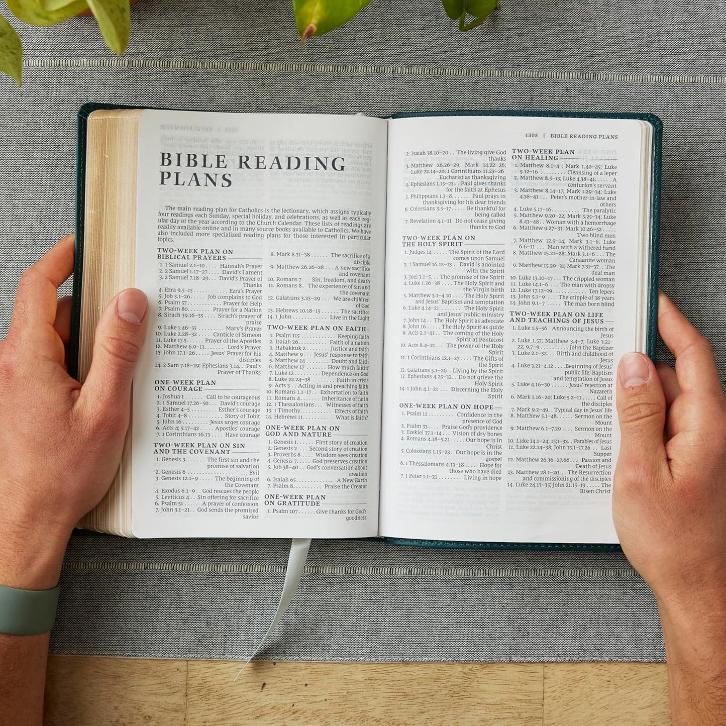 NRSV Catholic Edition Gift Bible, Teal LeatherSoft, Comfort Print