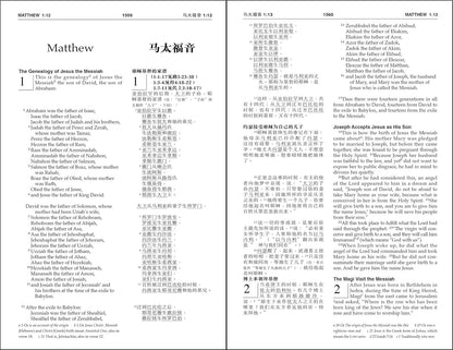 Chinese English Bible-PR-CUV/NIV Paperback – Illustrated, 4 October 2016