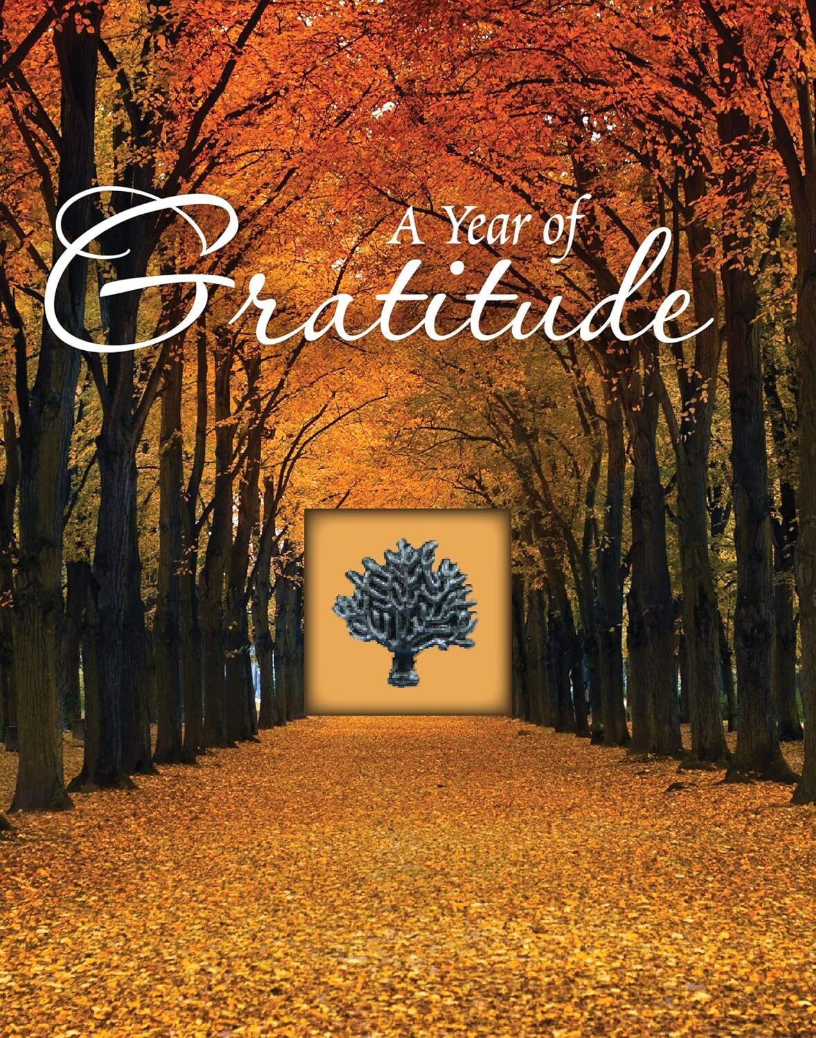 Deluxe Prayer Book - A Year of Gratitude Devotion