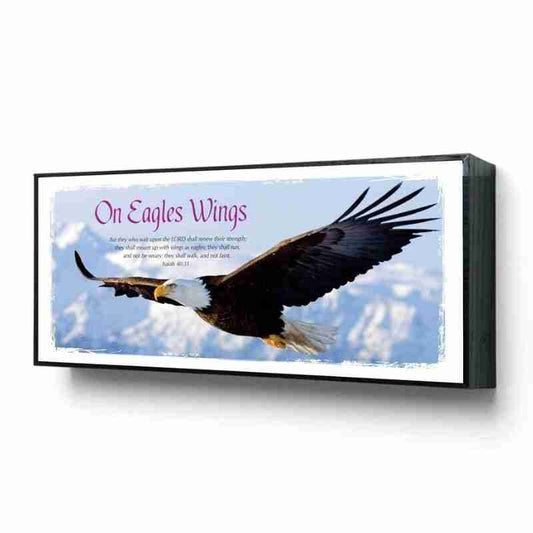 Framed Picture Eagle Wings