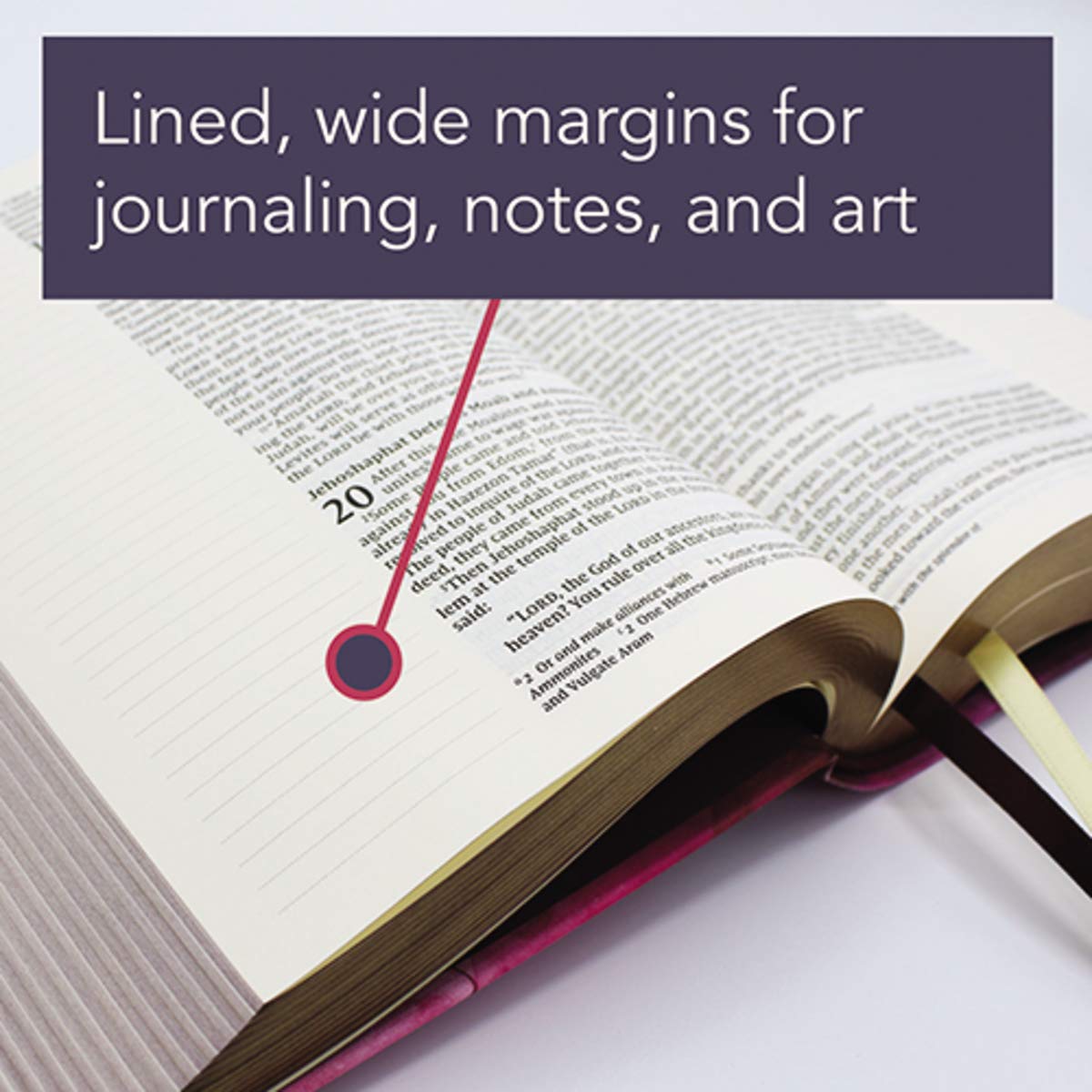 NIV Artisan Collection Bible, Red Letter Edition [Pink]