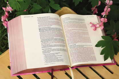 NIV Artisan Collection Bible, Red Letter Edition [Pink]