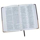 NIV Personal Size Large Print Bible, Chocolate & Amber, LeatherSoft