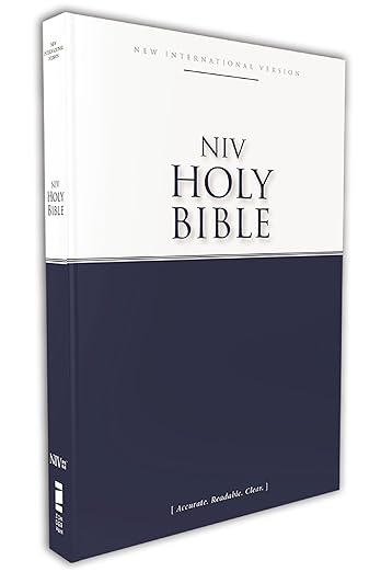 NIV Economy Bible, Blue, Paperback