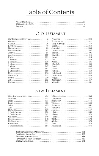 NIV Economy Bible, Blue, Paperback