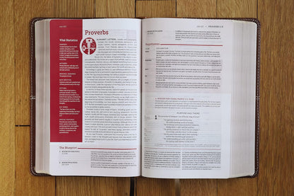 NIV Life Application Study Bible, Personal Size, Third Edition, Red Letter [Brown]