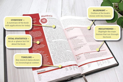 NIV Life Application Study Bible, Third Edition, Large Print, Gray/Pink, Red Letter