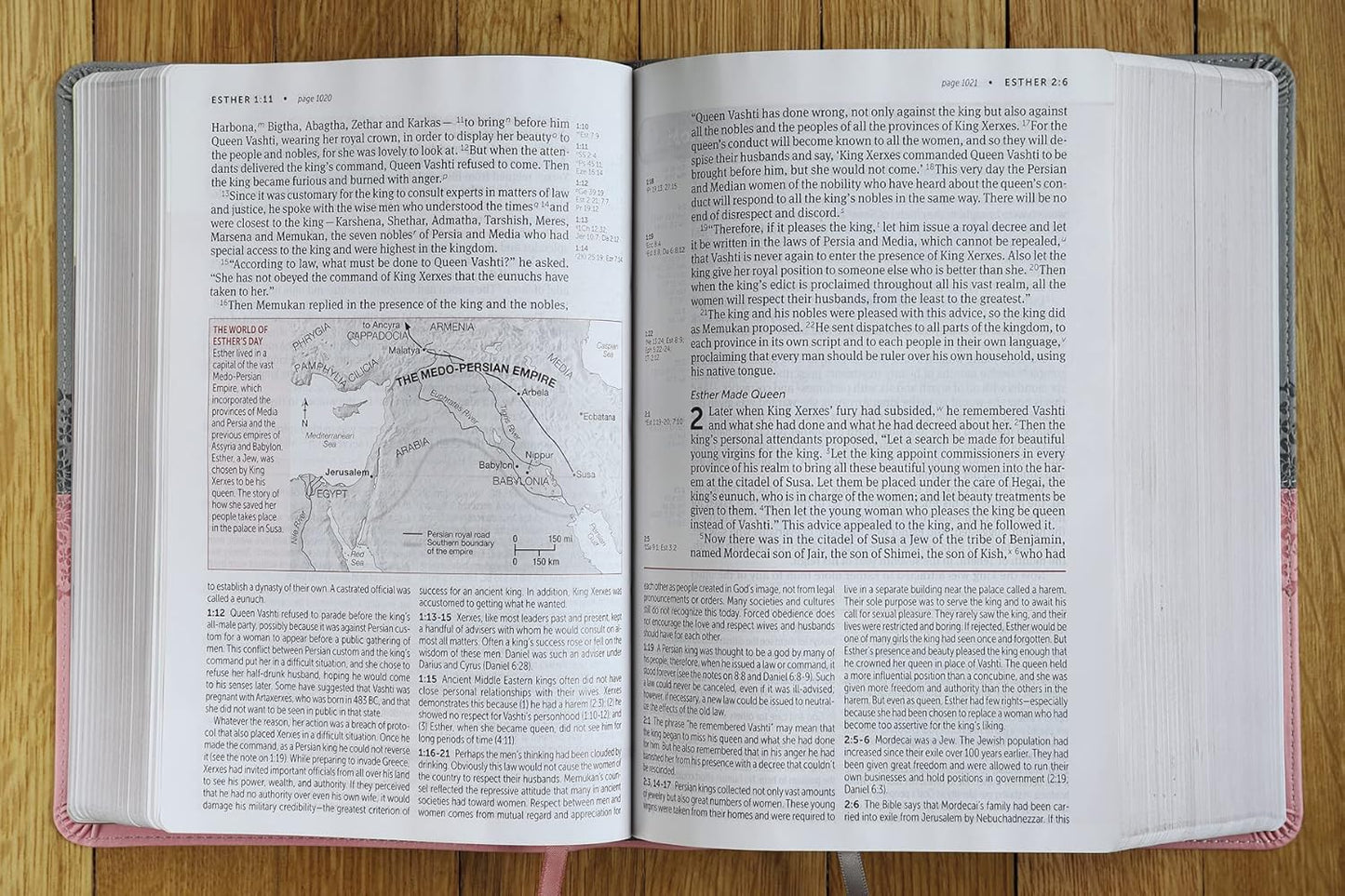 NIV Life Application Study Bible, Third Edition, Large Print, Gray/Pink, Red Letter