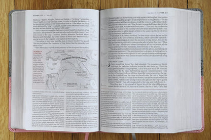NIV Life Application Study Bible, Third Edition, Large Print, Gray/Pink, Red Letter