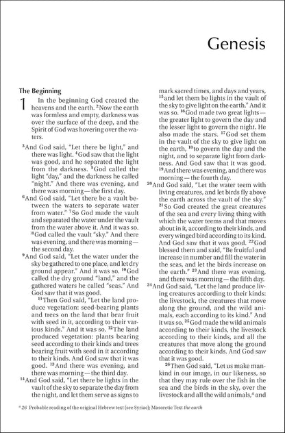 NIV Outreach Bible, Large Print, Paperback