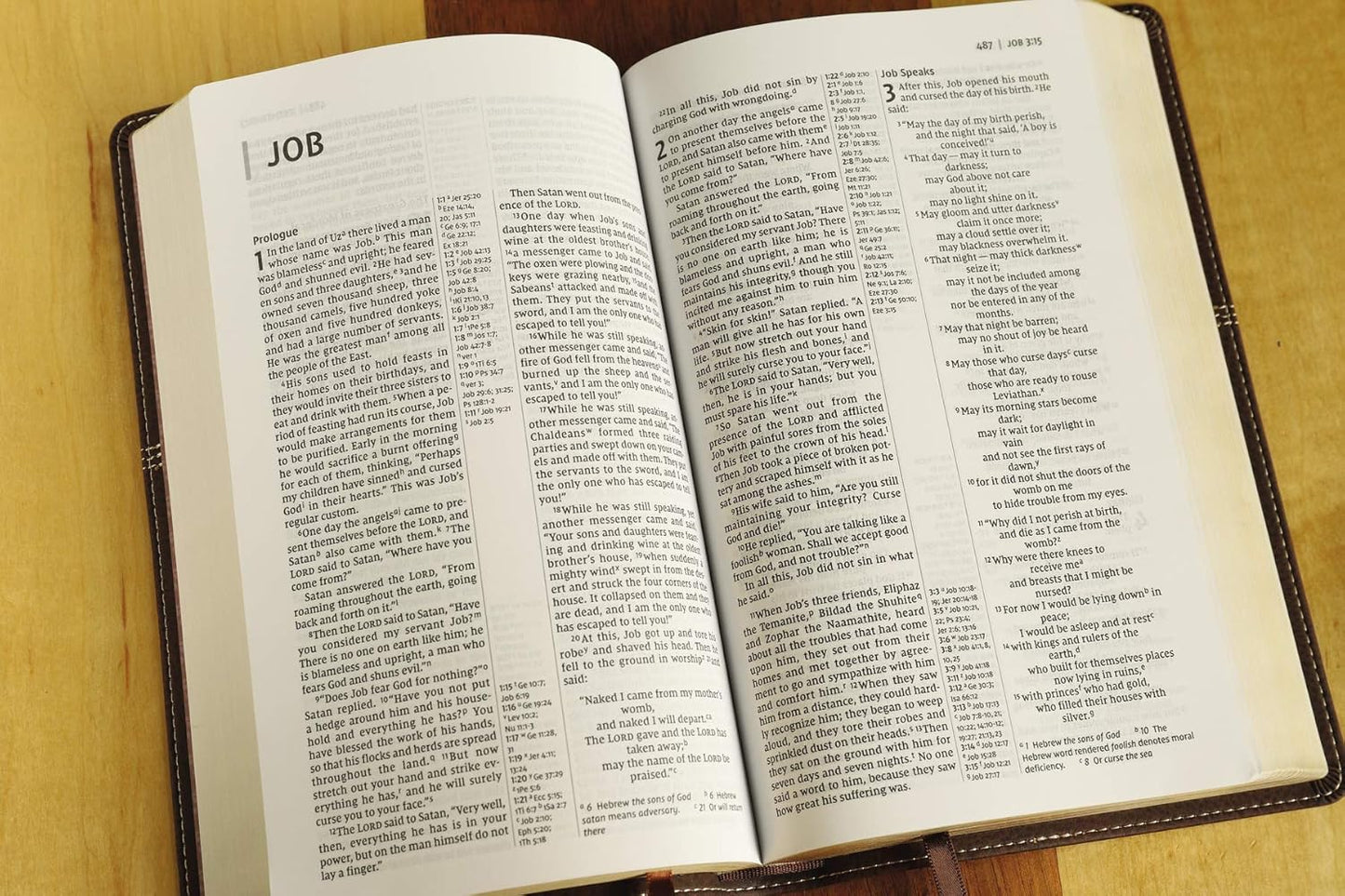 NIV Thinline Reference Bible, Red Letter Edition, Brown, LeatherSoft, Comfort Print