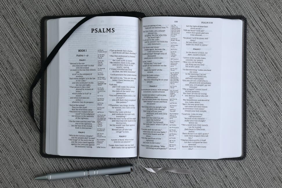 NIV Compact Centre-Column Reference Bible, Black, Red Letter, Comfort Print