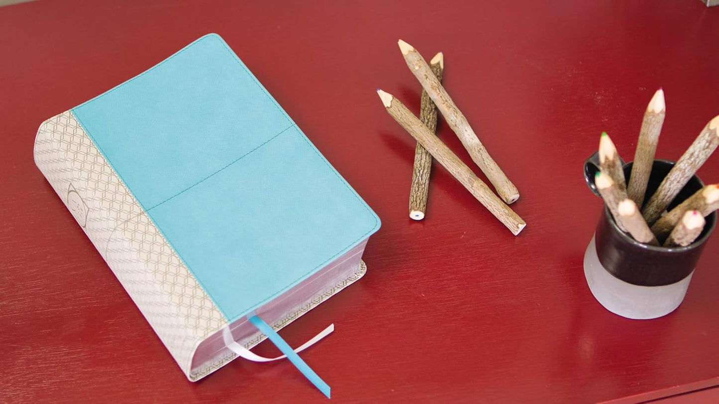 NIV Study Bible, Fully Revised Edition, Teal/Gray, LeatherSoft, Red Letter, Comfort Print