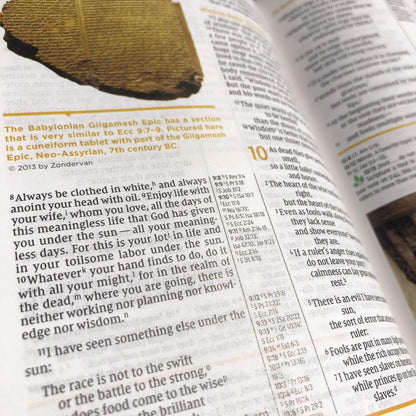NIV Study Bible, Fully Revised Edition, Teal/Gray, LeatherSoft, Red Letter, Comfort Print