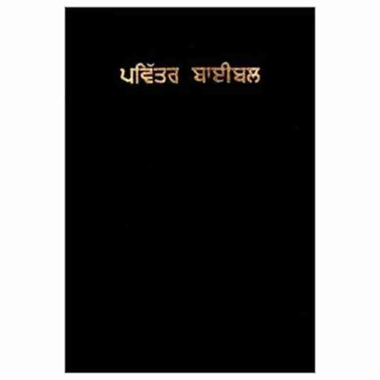 Punjabi Holy Bible - Paperback