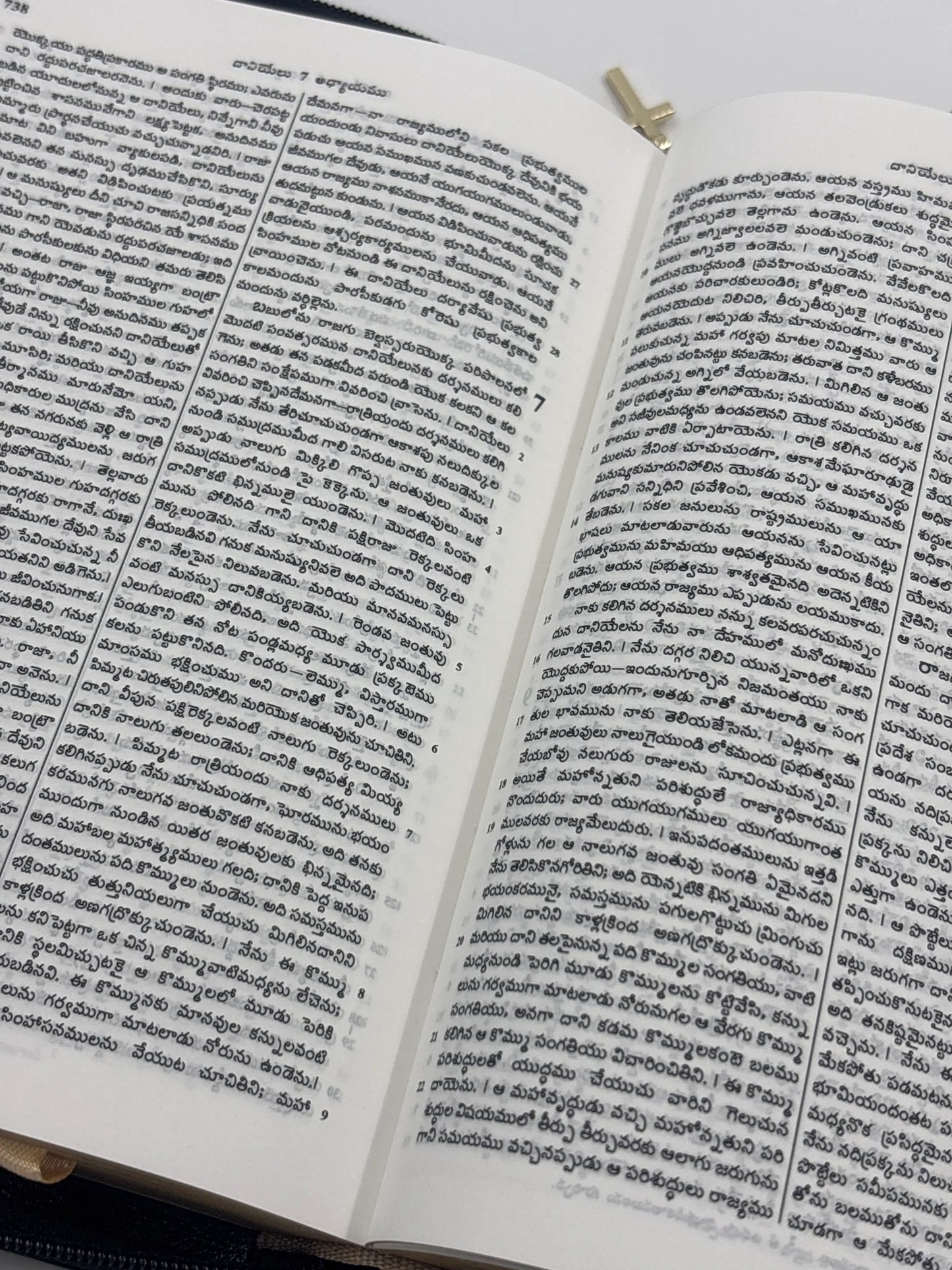 Telugu Holy Bible, Compact Edition, Black Vinyl with Zipper