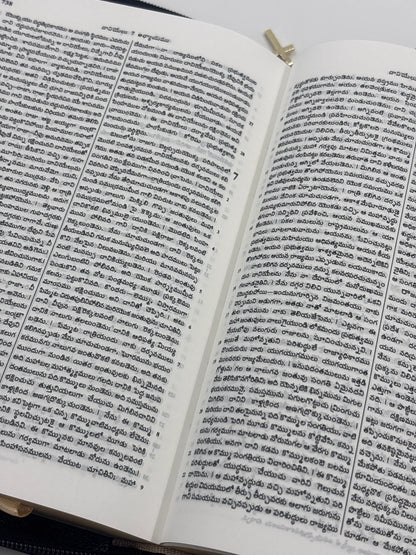 Telugu Holy Bible, Compact Edition, Black Vinyl with Zipper