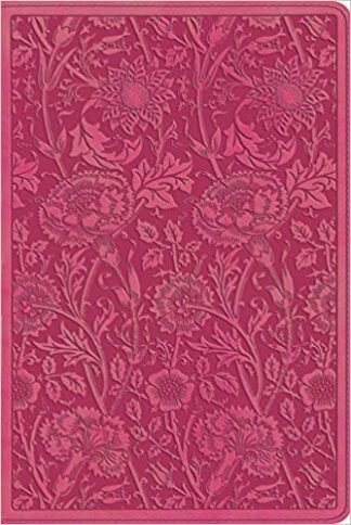 ESV Personal Reference Bible (TruTone, Berry, Floral Design) Imitation Leather – June 30, 2013