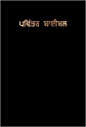 Holy Bible (Punjabi Edition) (Punjabi) Paperback – February, 2001
